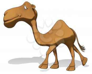 Fun camel