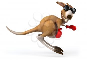 Fun kangaroo