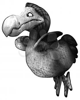 Dodo