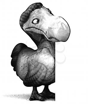 Dodo