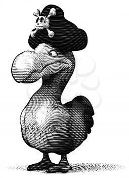 Dodo