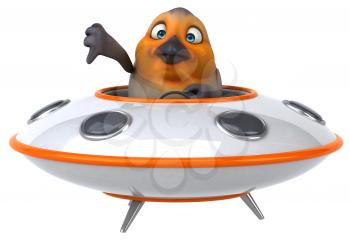Fun bird