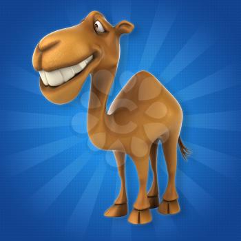 Fun camel