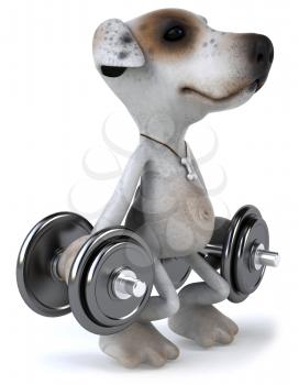 Royalty Free Clipart Image of a Jack Russell Terrier Lifting Weights