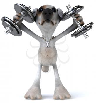 Royalty Free Clipart Image of a Jack Russell Terrier Lifting Weights