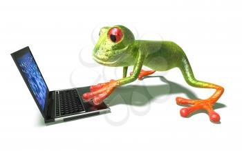 Royalty Free 3d Clipart Image of a Frog Looking at a Laptop