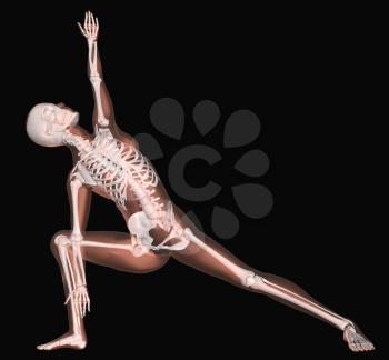 3D render of a female medical skeleton in a yoga position