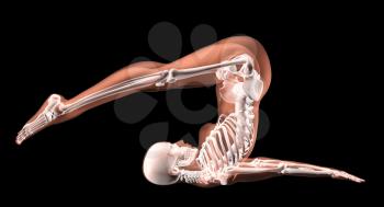 3D render of a female medical skeleton in a yoga position