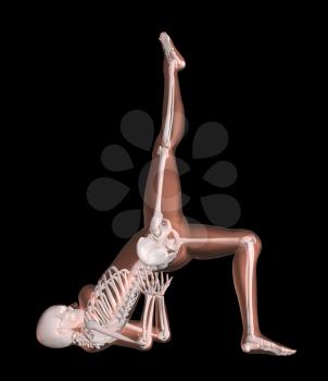 3D render of a female medical skeleton in a yoga position