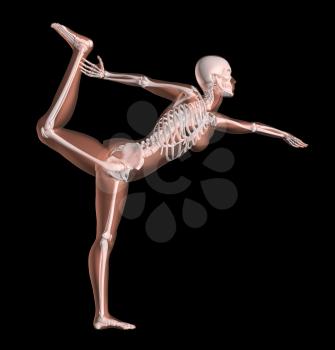 3D render of a female medical skeleton in a yoga position