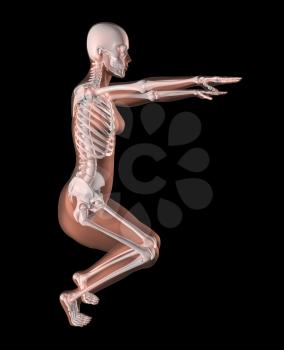 3D render of a female medical skeleton in a yoga position