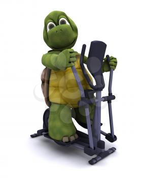 3D Render of a Tortoise with a cross trainer