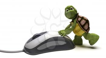 3D render of a Tortoise with a computer mouse