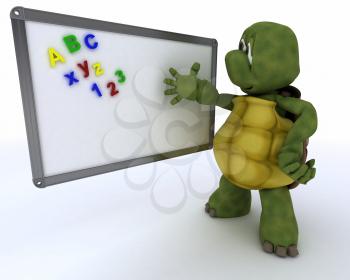 3D render of a tortoise with White class room drywipe marker board