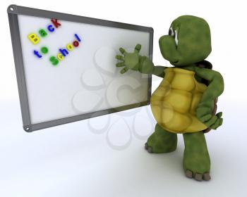 3D render of a tortoise with White class room drywipe marker board