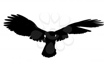 Royalty Free Clipart Image of an Eagle