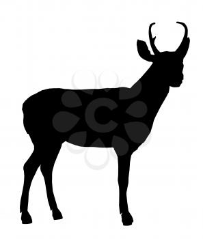 Royalty Free Clipart Image of a Deer