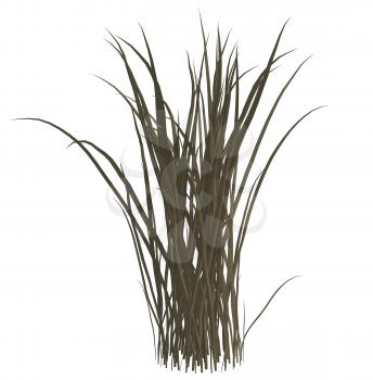 Royalty Free Clipart Image of Grass