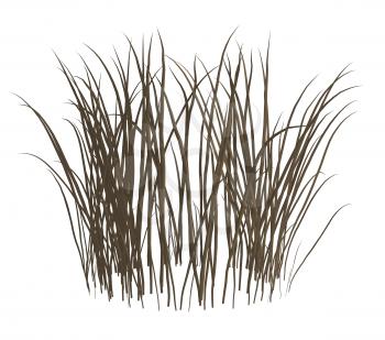 Dark grey dead grass on a white background