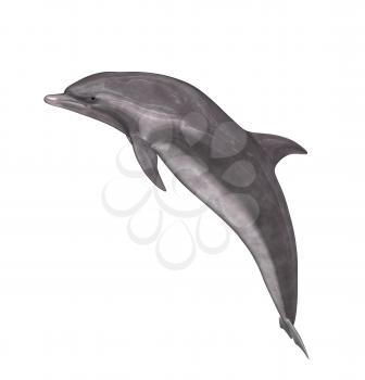 Royalty Free Clipart Image of a Dolphin