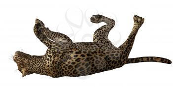 Royalty Free Clipart Image of a Cheetah