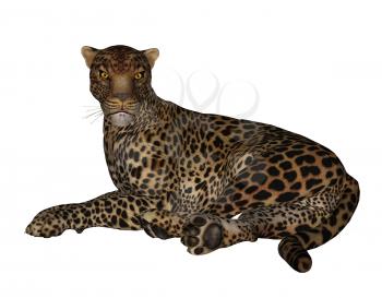 Royalty Free Clipart Image of a Cheetah