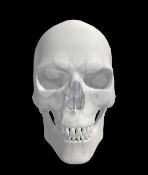 Royalty Free Clipart Image of a Skull