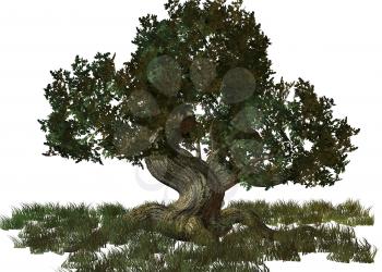 Royalty Free Clipart Image of a Tree