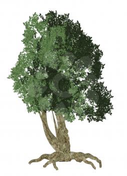 Royalty Free Clipart Image of a Tree