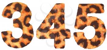 Royalty Free Clipart Image of Leopard Print Numbers