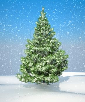 Royalty Free Clipart Image of a Fir-tree in Snow