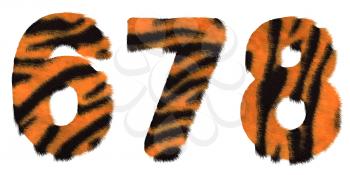 Royalty Free Clipart Image of Tiger Fell Numbers