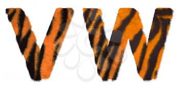 Royalty Free Clipart Image of Tiger Fell Font V and W