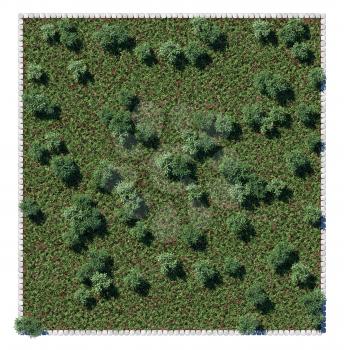 Park trees and glade view from above. Square composition isolated