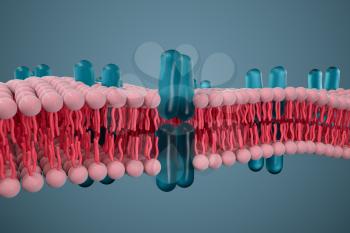 Cell membrane and biology, biological concept, 3d rendering. Computer digital drawing.