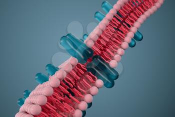 Cell membrane and biology, biological concept, 3d rendering. Computer digital drawing.