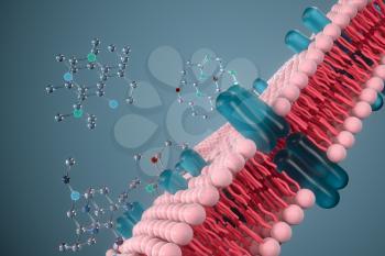 Cell membrane and biology, biological concept, 3d rendering. Computer digital drawing.