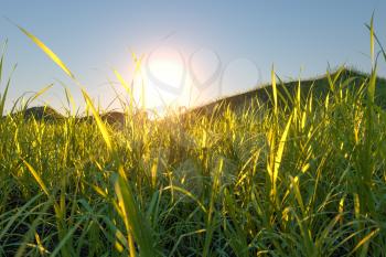 Grass field and mountains with bright background,3d rendering. Computer digital drawing.