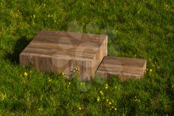 Empty platform in the grass field, 3d rendering. Computer digital drawing.