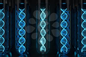 Test tube and chromosomes, DNA and genes,3d rendering. Computer digital drawing.