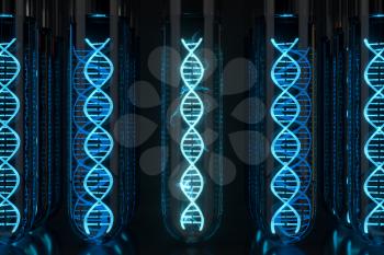 Test tube and chromosomes, DNA and genes,3d rendering. Computer digital drawing.