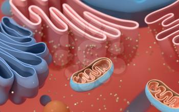 Internal structure of an animal cell, 3d rendering. Section view. Computer digital drawing.