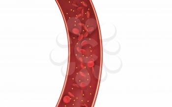 Red blood cells in the blood vessel, 3d rendering. Computer digital drawing.