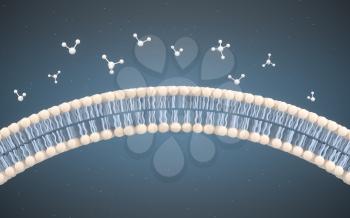 Cell Membrane and Molecules, 3d rendering. Computer digital drawing.