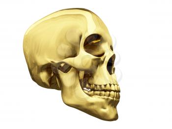 Royalty Free Clipart Image of a Skull