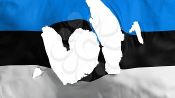 Ragged Estonia flag, white background, 3d rendering