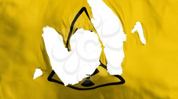 Ragged Radiation flag, white background, 3d rendering