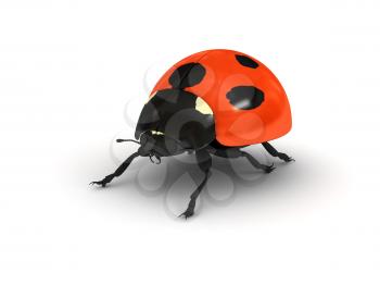 Royalty Free Clipart Image of a Ladybug