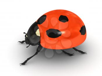 Royalty Free Clipart Image of a Ladybug