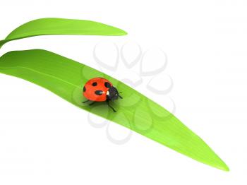 Royalty Free Clipart Image of a Ladybug on a Plant